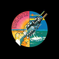 Pink Floyd - Wish You Were Here (LP)