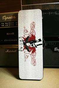Skull Guitar Case (���� ��� ������)