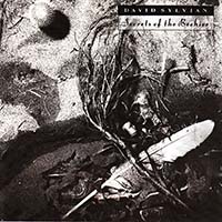 Sylvian, David - Secrets of The Beehive (CD)