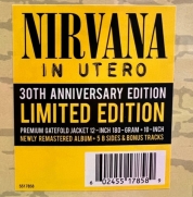 Nirvana - In Utero (30th Anniversary Limited Edition) (2LP)