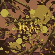 EF/Tiny Fingers - Vayu (LP)
