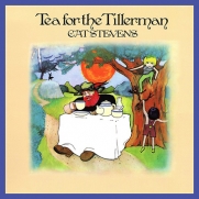 Stevens, Cat - Tea For The Tillerman (LP)