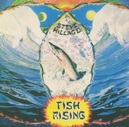 Hillage, Steve - Fish Rising (LP)