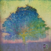 Eric Johnson - EJ (LP)