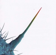 Gabriel, Peter - And I'll Scratch Yours (CD)