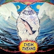 Hillage, Steve - Fish Rising (CD)