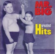 Mr. Big - Greatest Hits (Sealed) (CD)