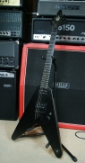 Epiphone Flying V Wayne Static Signature