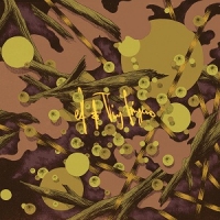 EF/Tiny Fingers - Vayu (LP)