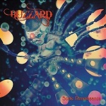 Buzzard - Sonic Renaissance (CD)