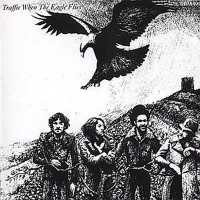 Traffic - When The Eagle Flies (CD)