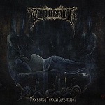 Zombiefication - Procession Through Infestation (CD)