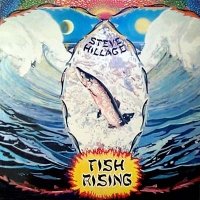 Hillage, Steve - Fish Rising (CD)