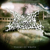 Disarticulating Extinguishment - Psalms Of Wrath (CD-DA)