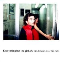 Everything But The Girl - Like The Deserts Miss The Rain (CD)