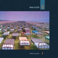Pink Floyd - A Momentary Lapse Of Reason (CD, MINI VINYL)