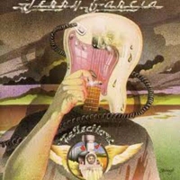 Garcia, Jerry  - Reflections (CD)