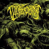 Guttural Engorgement - The Slow Decay Of Infested Flesh (Limited Edition Digipack)  (CD-DA)