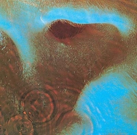 Pink Floyd - Meddle (CD, MINI VINYL)