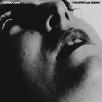 Agriculture - The Spiritual Sound (Lemon Yellow Coloured Vinyl) (LP)