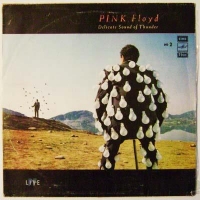 Pink Floyd - Delicate Sound Of Thunder. �2 (LP)