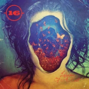 16 -  Lifespan Of A Moth (CD)