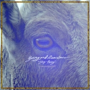 Young And Heartless - Stay Away (CD)