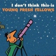Young Fresh Fellows - Don't Think This Is... (CD)