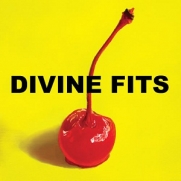 Divine Fits - A Thin Called Divine Fits (CD)