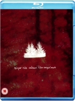 Sigur Ros - Valtari Film Experiment (DVD-Blu-ray)